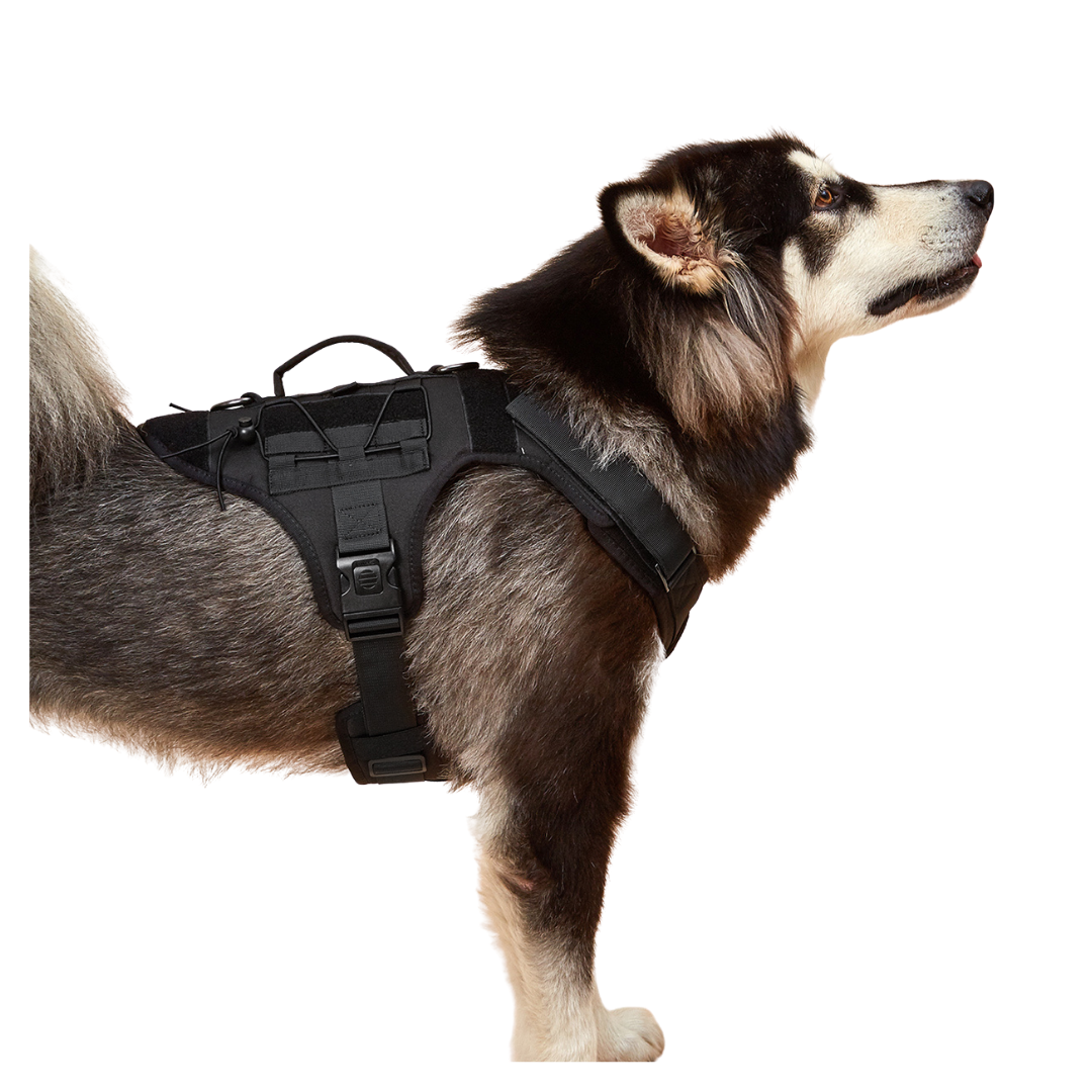 Tactical Harness