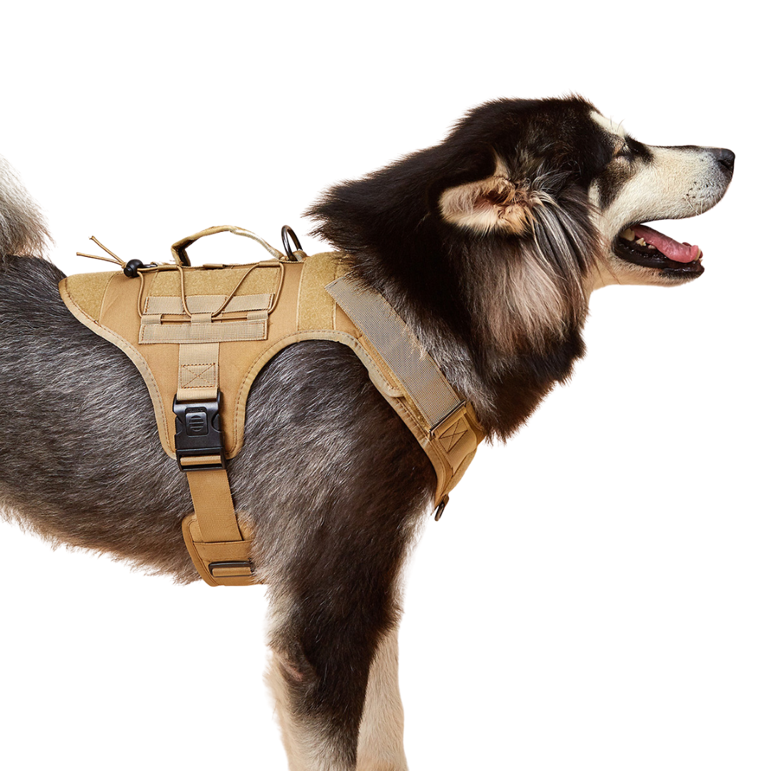 Tactical Harness