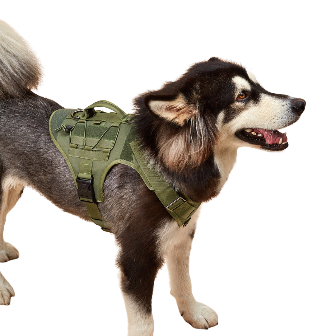 Tactical Harness