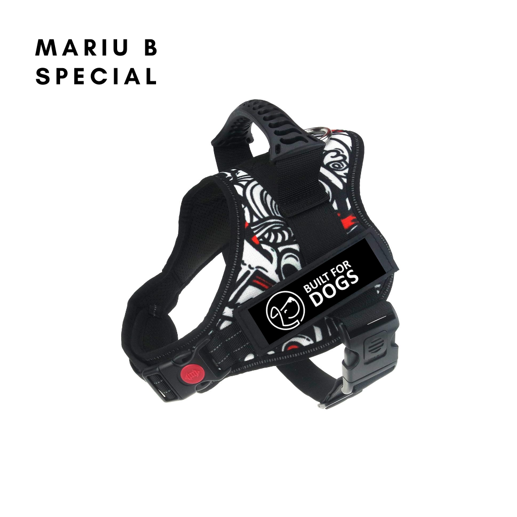 Mariu B Special